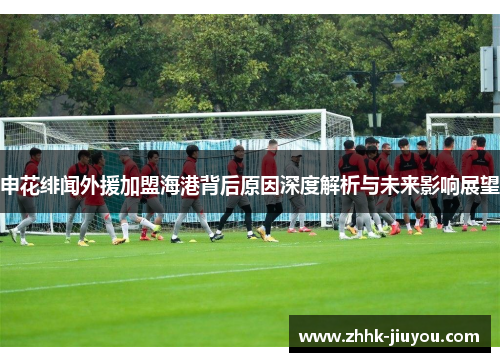 申花绯闻外援加盟海港背后原因深度解析与未来影响展望